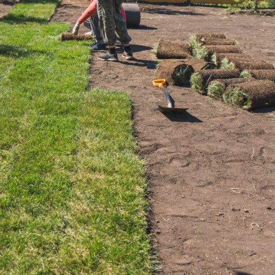 Garden Design and Installation