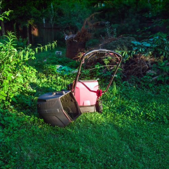 Lawn Care and Maintenance