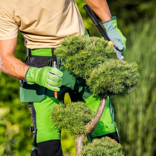 Seasonal Plant Installation